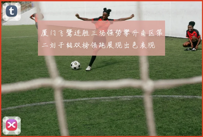 厦门飞鹭连胜三场强势攀升南区第二刘子铭双榜领跑展现出色表现